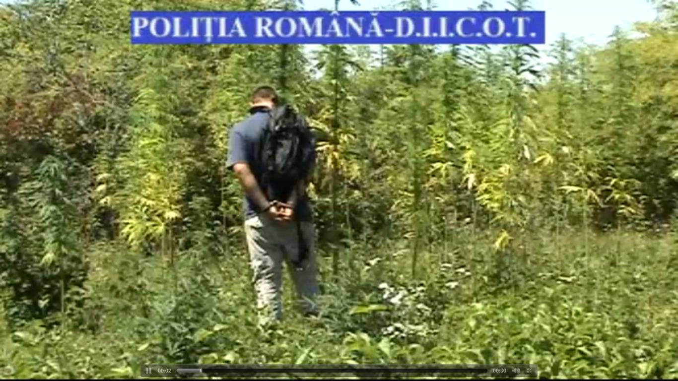 Cinci tineri fugiţi de acasă îşi făceau de cap în Câmpina cu droguri şi televizoare furate Cinci tineri fugiţi de acasă îşi făceau de cap în Câmpina cu droguri şi televizoare furate