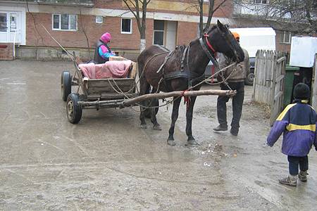 Polițiștii locali desfășoară acțiuni împotriva cerșetorilor, bețivilor și căruțașilor găsiți pe zonele interzise din Ploiești Polițiștii locali desfășoară acțiuni împotriva cerșetorilor, bețivilor și căruțașilor găsiți pe zonele interzise din Ploiești