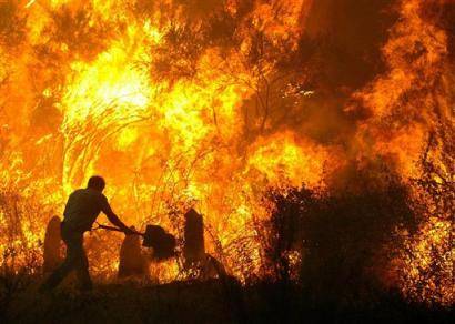 14 incendii de vegetaţie uscată în Prahova 14 incendii de vegetaţie uscată în Prahova