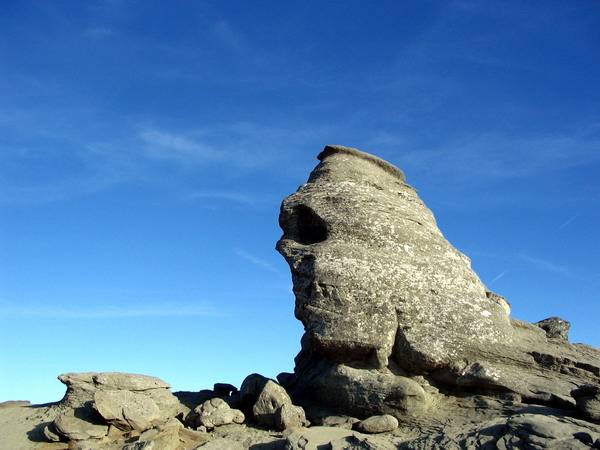 Bilă neagră de sărbători: Prahova – locul 5 pe ţară la numărul de amenzi aplicate unităţilor turistice Bilă neagră de sărbători: Prahova – locul 5 pe ţară la numărul de amenzi aplicate unităţilor turistice