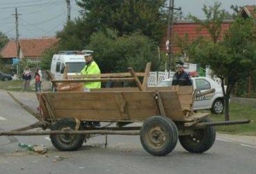 Căruţaşii din Ploieşti, în vizorul Poliţiei Locale