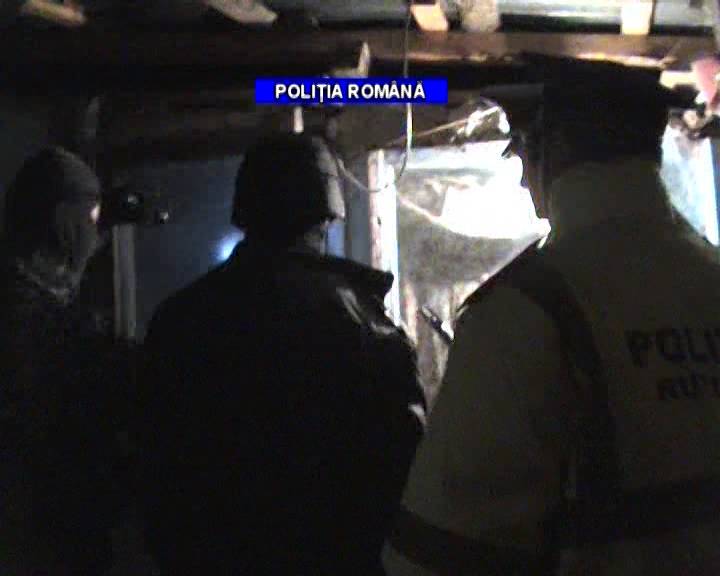 Percheziţii în Ploieşti la domiciliile unor suspecţi de comiterea de infracţiuni cu violenţă Percheziţii în Ploieşti la domiciliile unor suspecţi de comiterea de infracţiuni cu violenţă