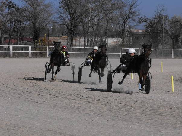 PLOIEŞTI/Programul curselor de trap ce vor avea loc, anul acesta, la Hipodrom PLOIEŞTI/Programul curselor de trap ce vor avea loc, anul acesta, la Hipodrom