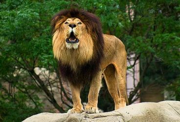 PLOIEŞTI/Paştele vine şi la Grădina Zoologică