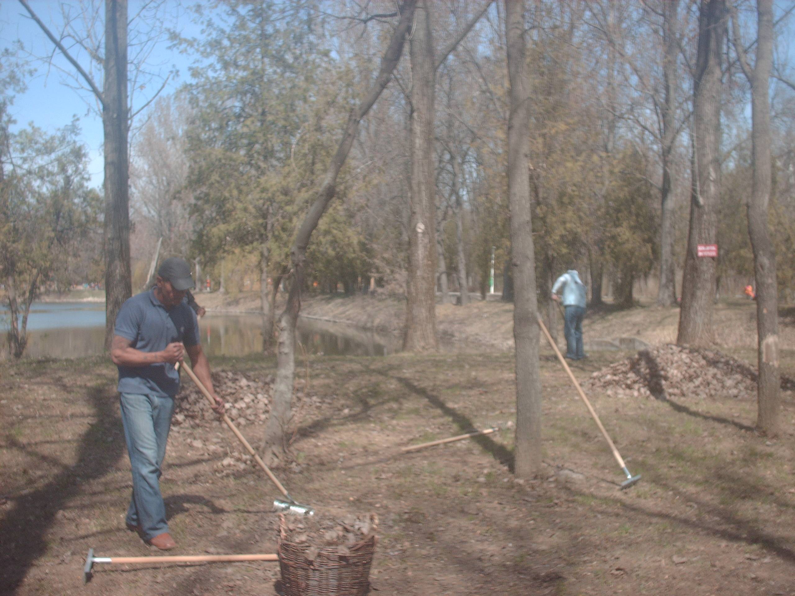 PLOIEŞTI/26 de deţinuţi – pe aleile Grădinii Zoo. Nu vă speriaţi, e doar o acţiune de curăţenie PLOIEŞTI/26 de deţinuţi – pe aleile Grădinii Zoo. Nu vă speriaţi, e doar o acţiune de curăţenie