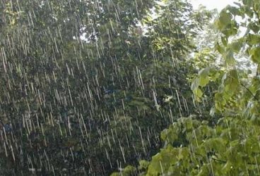 Ploi torenţiale şi grindină. Avertizare meteo