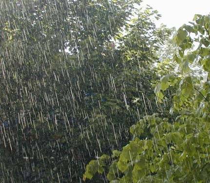 Cod galben de grindina şi vijelie Cod galben de grindina şi vijelie