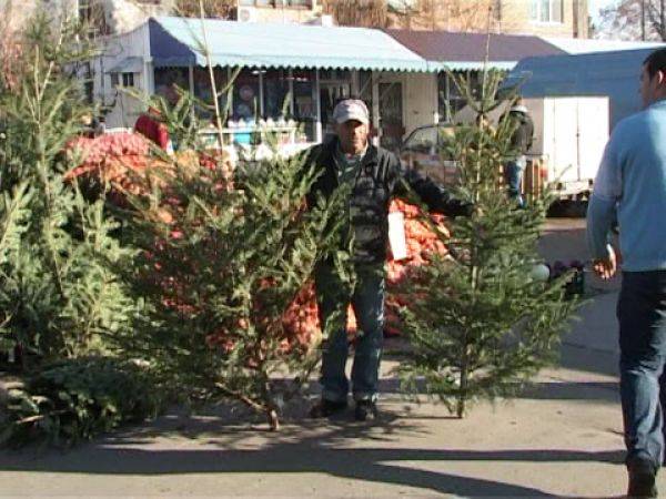 Centrala electrică Brazi pornită pentru a suplini oprirea reactorului 1 de la Cernavodă Centrala electrică Brazi pornită pentru a suplini oprirea reactorului 1 de la Cernavodă