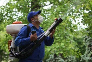 Dezinsecţie în Ploieşti