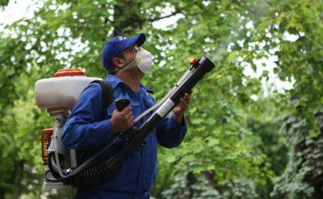 Dezinsecţie în Ploieşti, luna aceasta