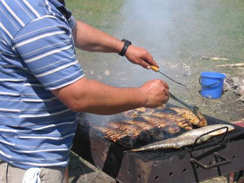 Grătare şi plimbări cu barca pe lac, în Parcul Municipal Vest