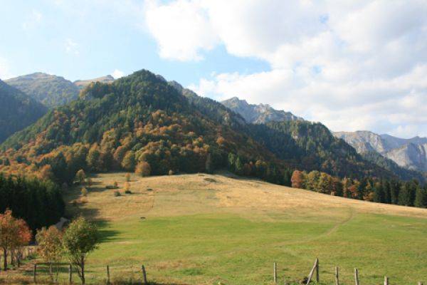 Sezonul furturilor de lemne Sezonul furturilor de lemne