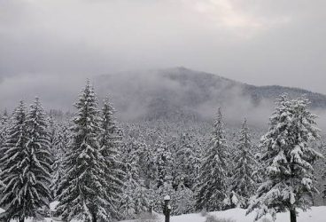 Cod galben de ninsoare în Prahova