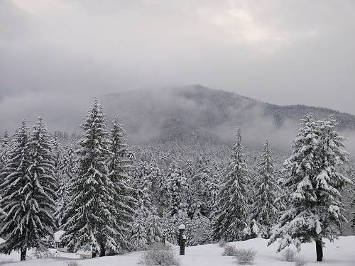 Cod galben de ninsoare în Prahova Cod galben de ninsoare în Prahova