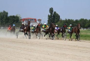 Darius i-a lăsat în urmă pe Nero și Spartan și a câștigat Derby-ul de Trap 2014