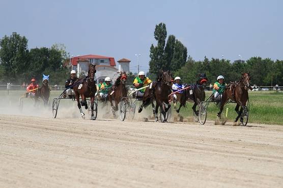 Darius i-a lăsat în urmă pe Nero și Spartan și a câștigat Derby-ul de Trap 2014 Darius i-a lăsat în urmă pe Nero și Spartan și a câștigat Derby-ul de Trap 2014