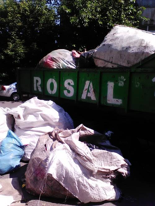 Captură record de peturi de la căutătorii din Ploieşti Captură record de peturi de la căutătorii din Ploieşti