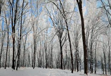 Cum va fi vremea în perioada 27 – 30 ianuarie