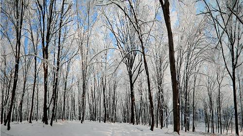 Cum va fi vremea în perioada 27 – 30 ianuarie Cum va fi vremea în perioada 27 – 30 ianuarie