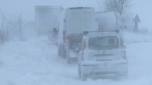 Polei în Vărbilău, Ştefeşti, Păuleşti şi pe Valea Doftanei Polei în Vărbilău, Ştefeşti, Păuleşti şi pe Valea Doftanei