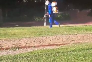 Din 6 iunie, încep dezinsecţia şi deratizarea Ploieştiului