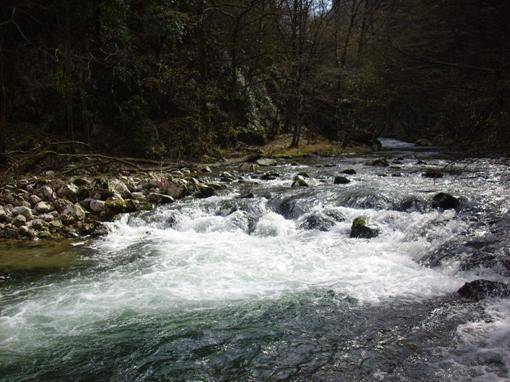 Bărbat înecat, găsit în pârâul Vărbilău
