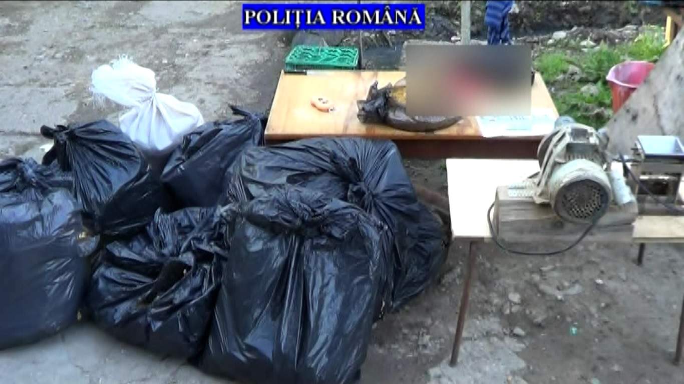 Ţigări netimbrate, produse contrafăcute şi alte minuni descoperite în Obor Ţigări netimbrate, produse contrafăcute şi alte minuni descoperite în Obor