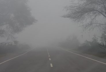 Prahova, sub cod galben de ceaţă