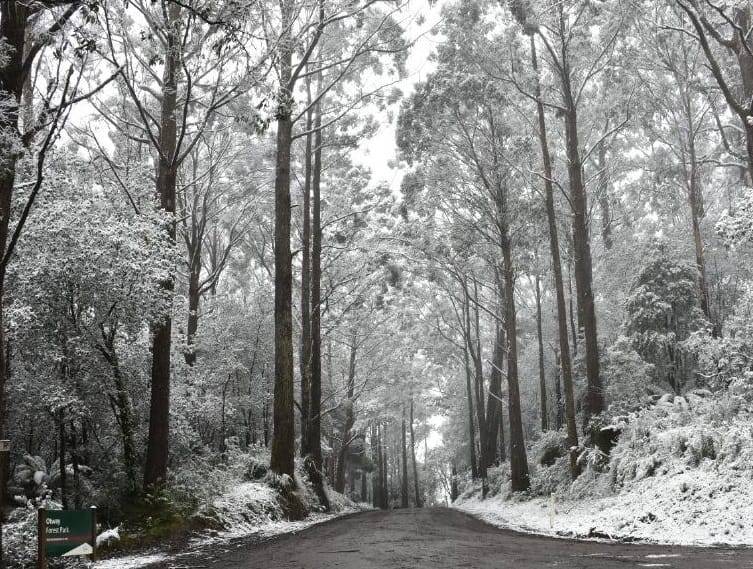 Vin ninsorile! Avertizare meteo Vin ninsorile! Avertizare meteo