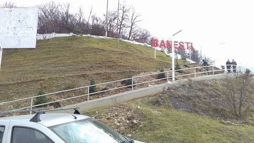 plantare-banesti-2