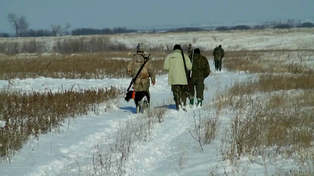 6 VÂNĂTORI STRĂINI AU FOST AMENDAȚI DE POLIȚIȘTII PRAHOVENI