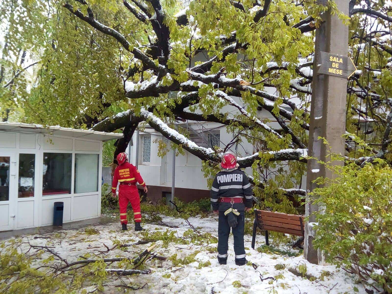 Intervenţie ISU la un spital din Prahova. Pană de curent în localitățile Schiulești, Călugăreni, Tătaru, Podgoria, Lapoș, Bătrâni și Cătunu Intervenţie ISU la un spital din Prahova. Pană de curent în localitățile Schiulești, Călugăreni, Tătaru, Podgoria, Lapoș, Bătrâni și Cătunu