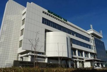 Reacţia Romsilva după ce activiştii Greenpeace au blocat o exploatare forestieră la Măneciu