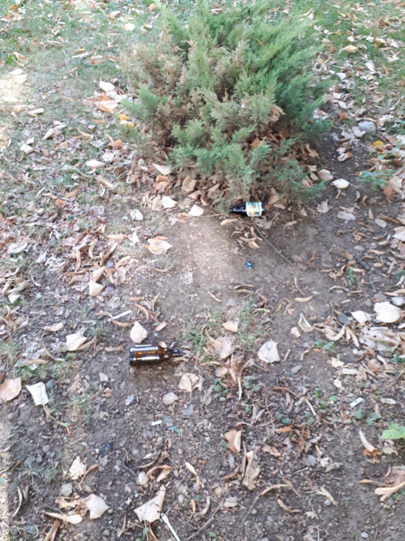 Razie a poliţiei în parcurile Coral şi Baraolt Razie a poliţiei în parcurile Coral şi Baraolt