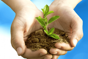 Primăria Bucov înfiinţează “Garda Verde” – pentru o localitate curată şi îngrijită