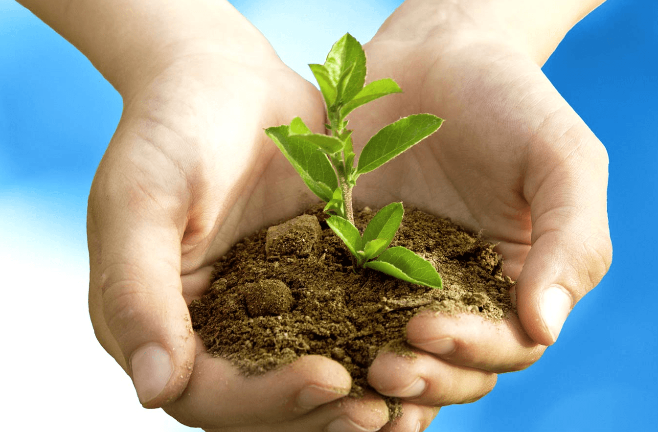 Primăria Bucov înfiinţează “Garda Verde” – pentru o localitate curată şi îngrijită Primăria Bucov înfiinţează “Garda Verde” – pentru o localitate curată şi îngrijită