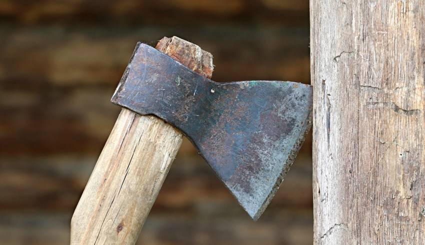 Poliţişti prahoveni au împuşcat un individ periculos în satul Buda