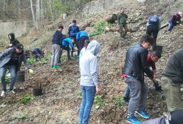 Elevii dintr-un oraş prahovean, cei mai buni din ţară la “Plantare”