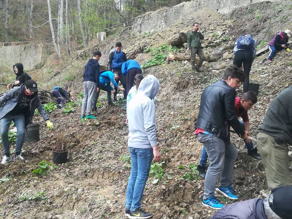 Elevii dintr-un oraş prahovean, cei mai buni din ţară la “Plantare”