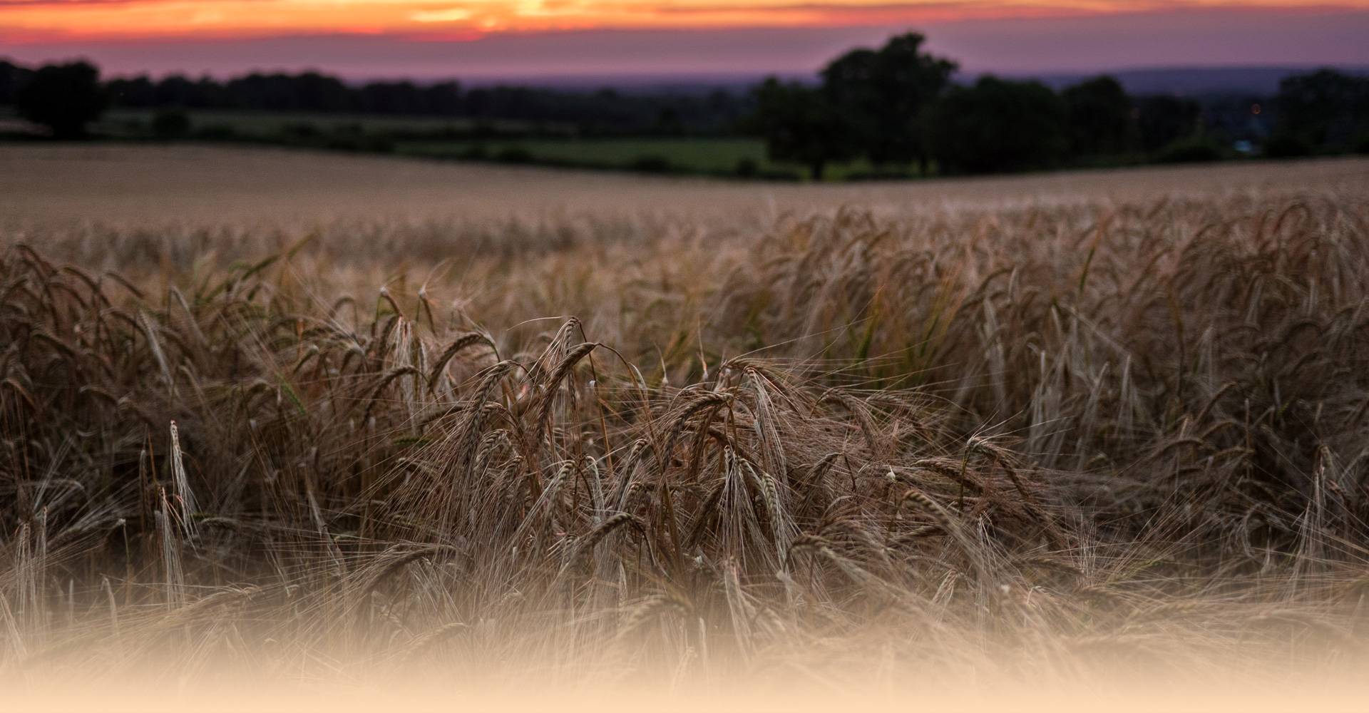 Asociatia Grupul de Actiune Locala „VALEA BUDUREASCA” anunta lansarea Apelului de selectie de proiecte nr. 3/2018 pentru masura M3\2A Sprijin pentru dezvoltarea fermelor mici si instalarea tinerilor fermieri, 15.06.2018-30.07.2018 Asociatia Grupul de Actiune Locala „VALEA BUDUREASCA” anunta lansarea Apelului de selectie de proiecte nr. 3/2018 pentru masura M3\2A Sprijin pentru dezvoltarea fermelor mici si instalarea tinerilor fermieri, 15.06.2018-30.07.2018