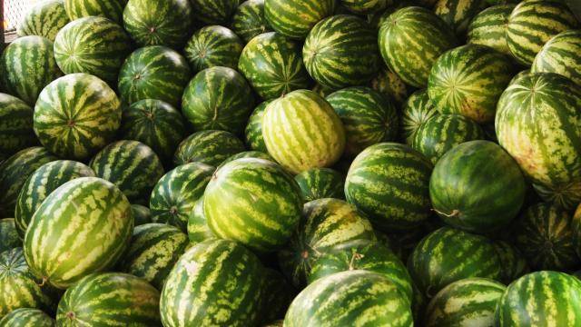 5 tone de legume şi fructe confiscate de la vânzătorii de pe marginea drumului 5 tone de legume şi fructe confiscate de la vânzătorii de pe marginea drumului