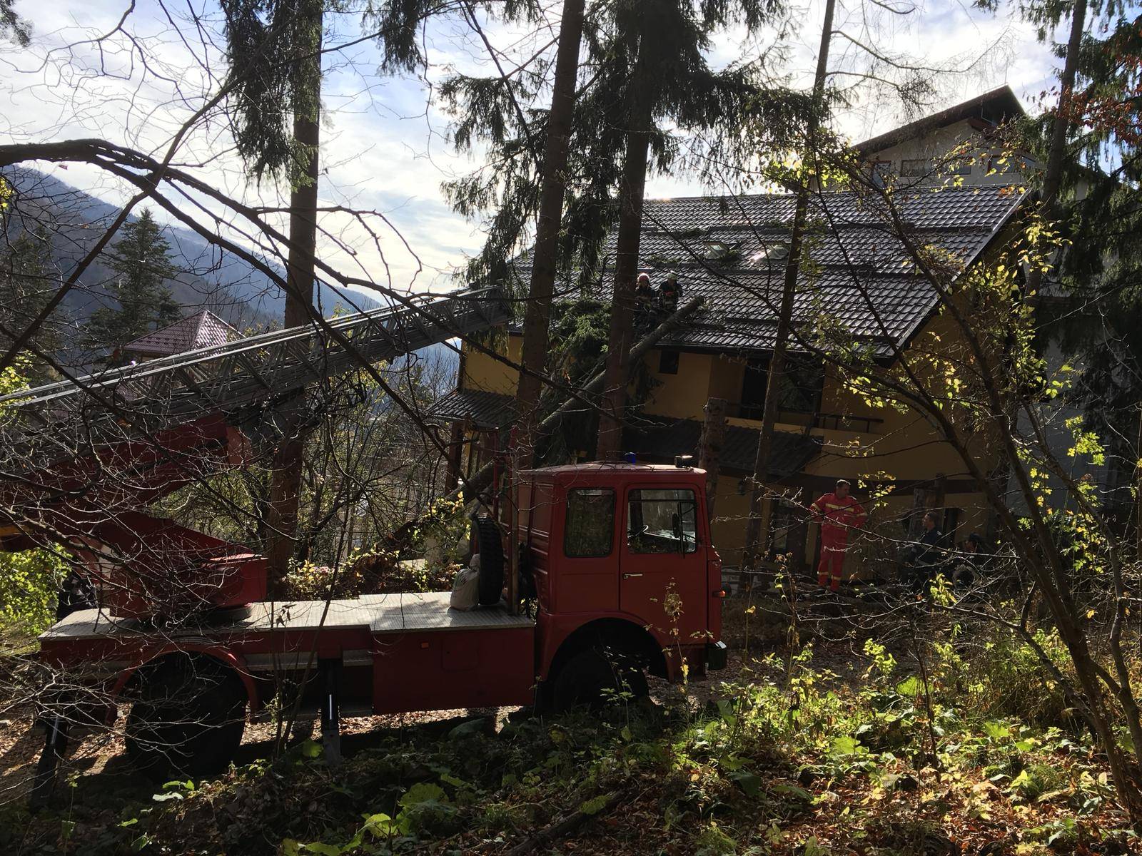 Pompierii au dat jos doi brazi căzuţi pe acoperişul unei case din Sinaia Pompierii au dat jos doi brazi căzuţi pe acoperişul unei case din Sinaia