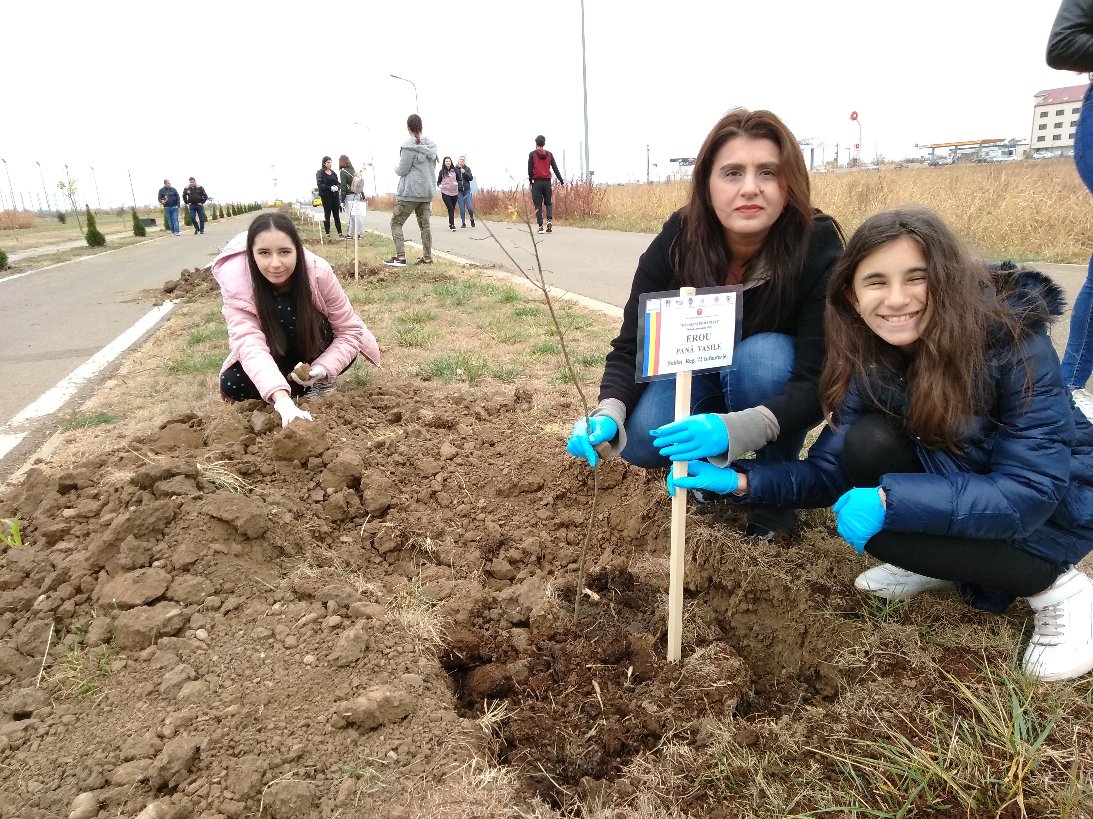 Parcul ”chel” din vestul Ploieștiului va fi nițel împădurit Parcul ”chel” din vestul Ploieștiului va fi nițel împădurit