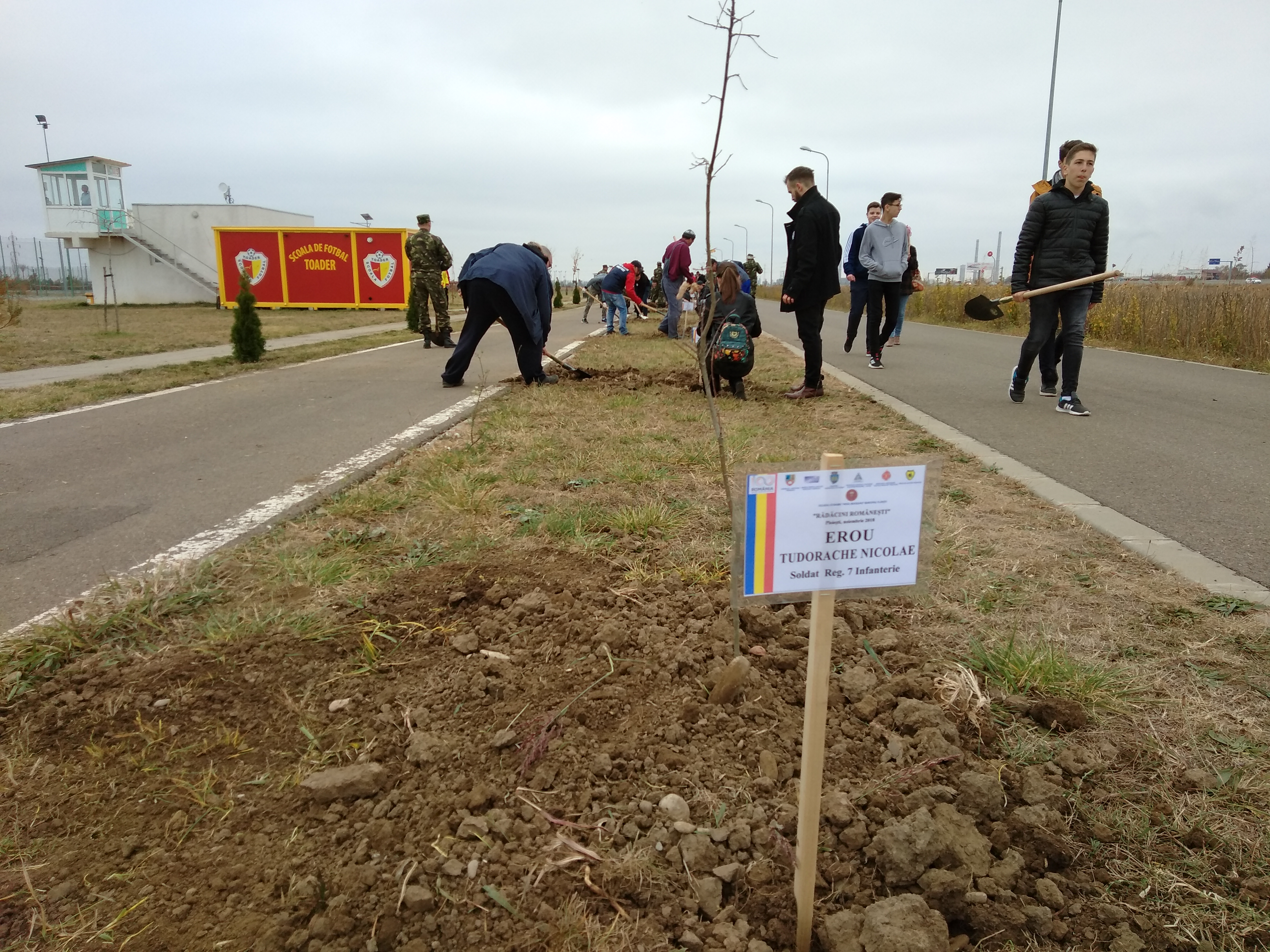 Aleea Eroilor, plantată cu 100 de stejari de elevii Colegiului Economic “Virgil Madgearu” Aleea Eroilor, plantată cu 100 de stejari de elevii Colegiului Economic “Virgil Madgearu”