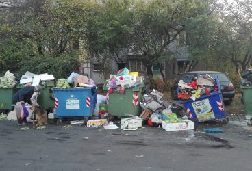 Gunoiul din Piaţa Aurora Vest, ameninţare la adresa sănătăţii ploieştenilor