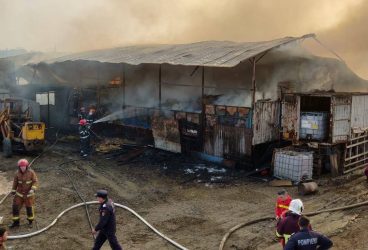 Fermă populată cu 250 de vaci şi porci, cuprinsă de incendiu