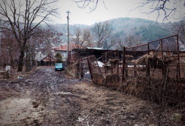 Mesaj dintr-o comună: “Parlamentarii îşi plimbă gagicile în ţări îngrijite, nu în jeg ca la noi”