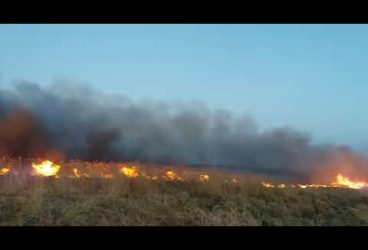 Cod galben de vânt și viscol în Prahova: incendii și copaci prăbușiți