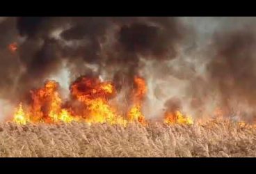 Orașul Boldești-Scăieni, pus în pericol de incendii de vegetație violente