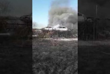 Incendiu de vegetație s-a întins la un parc de dezmembrări din apropierea unui mall din Ploiești